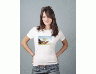 EZ101 Softstretch Neenah Inkjet Transfer Paper